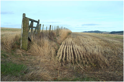 Fence on field against sky