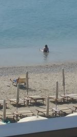 Seagull on beach