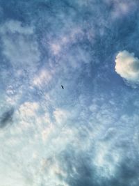 Low angle view of bird flying in sky