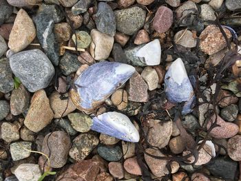 Full frame shot of pebbles