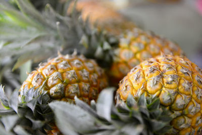Close-up of fresh pineapple in market