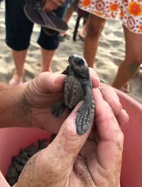 Close-up of man holding hands