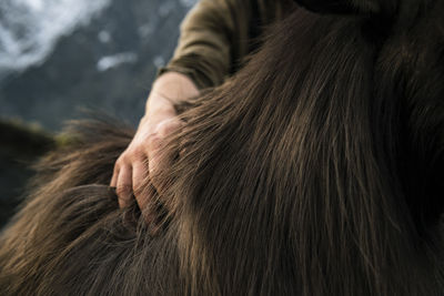 Hunter's hand on animal back