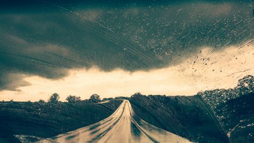 Road passing through a forest