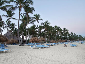 Panoramic view of palm trees on beach against clear sky