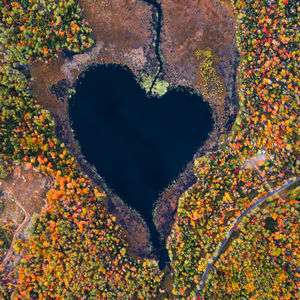 High angle view of heart shape on rock