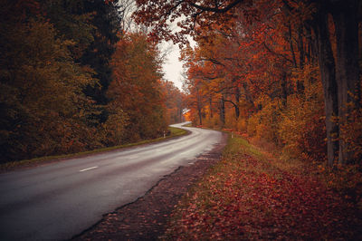 Road amidst trees during autumn