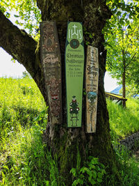 Information sign on tree trunk in field