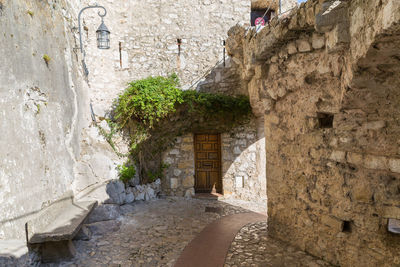 Plants growing in front of old building