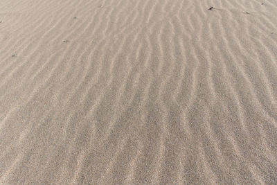 Full frame shot of sand dune