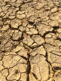 Full frame shot of cracked land