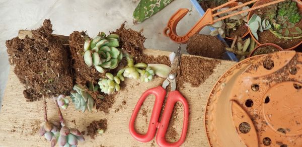 High angle view of fruits on table