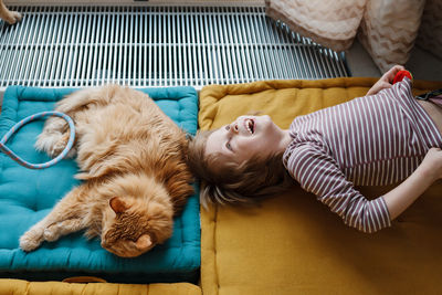 Midsection of a dog sleeping