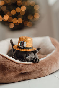 Close-up of hat on bed at home