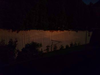 Silhouette plants against illuminated building at night