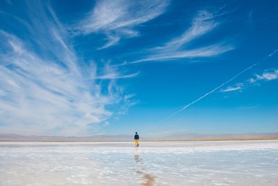 Rear view of man standing on beach against sky