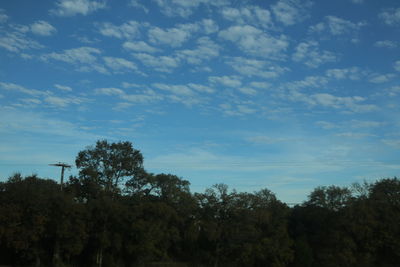 Low angle view of trees against sky