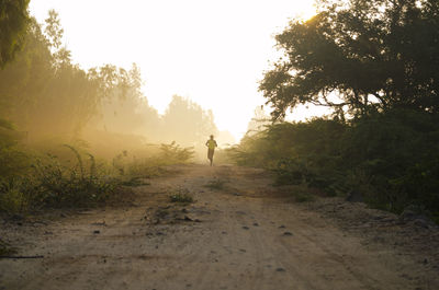 Man on footpath amidst trees against sky