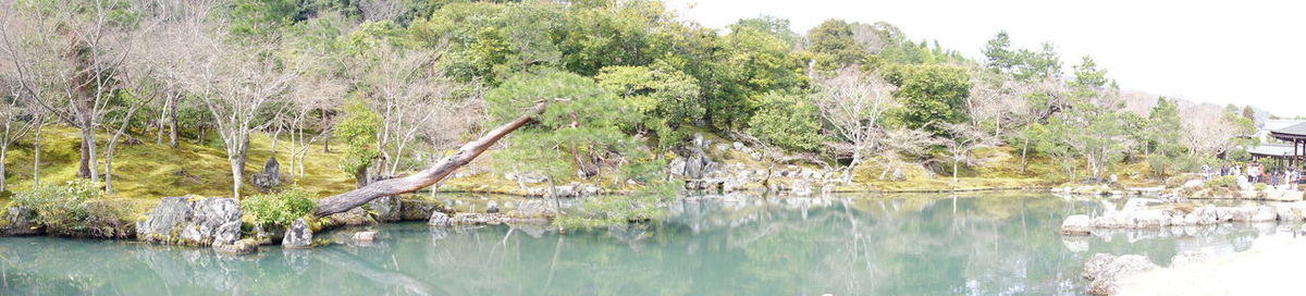 Scenic view of lake by trees against sky
