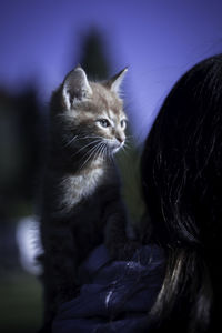 Close-up of cat sitting on man