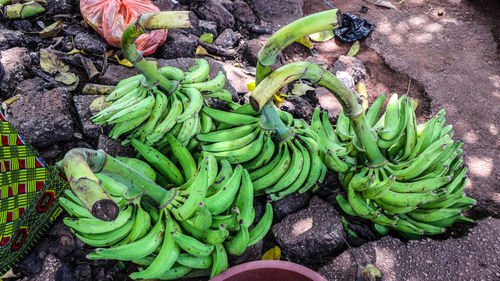 Banana market ivory coast