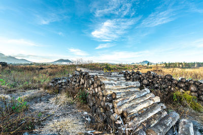 Stack of wood on field against sky