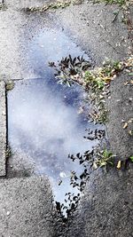 High angle view of puddle on street