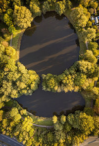 Aerial view of lake and trees 