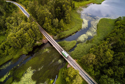 Bridge over river in forest