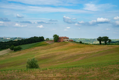 Scenic view of agricultural field against sky