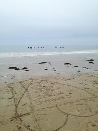 Birds flying over beach against sky