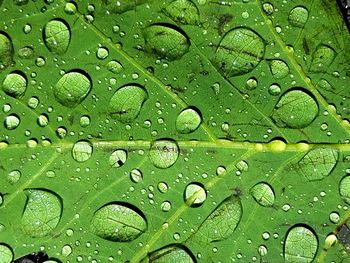 Full frame shot of raindrops on window