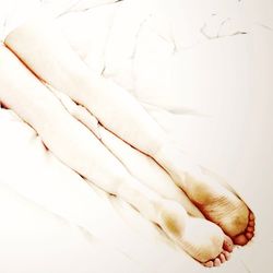 Row of trees in the dark