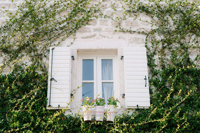 Window on white wall of house