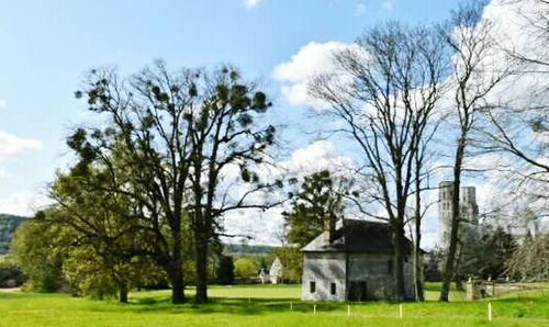 Bare trees on grassy field against cloudy sky