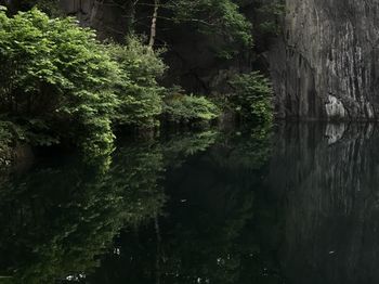 Scenic view of lake amidst trees in forest