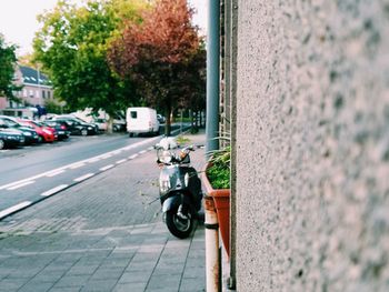 Bicycle on road in city