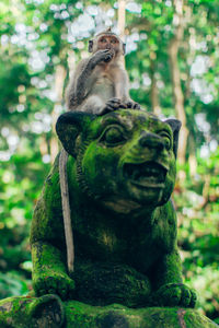 Close-up of statue against trees in forest
