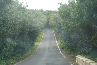 Empty road along trees