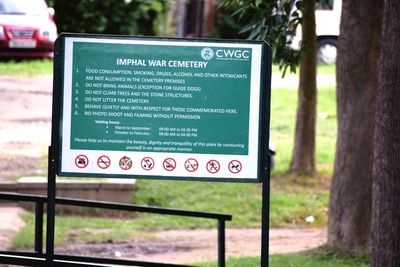 Close-up of sign board by trees in park