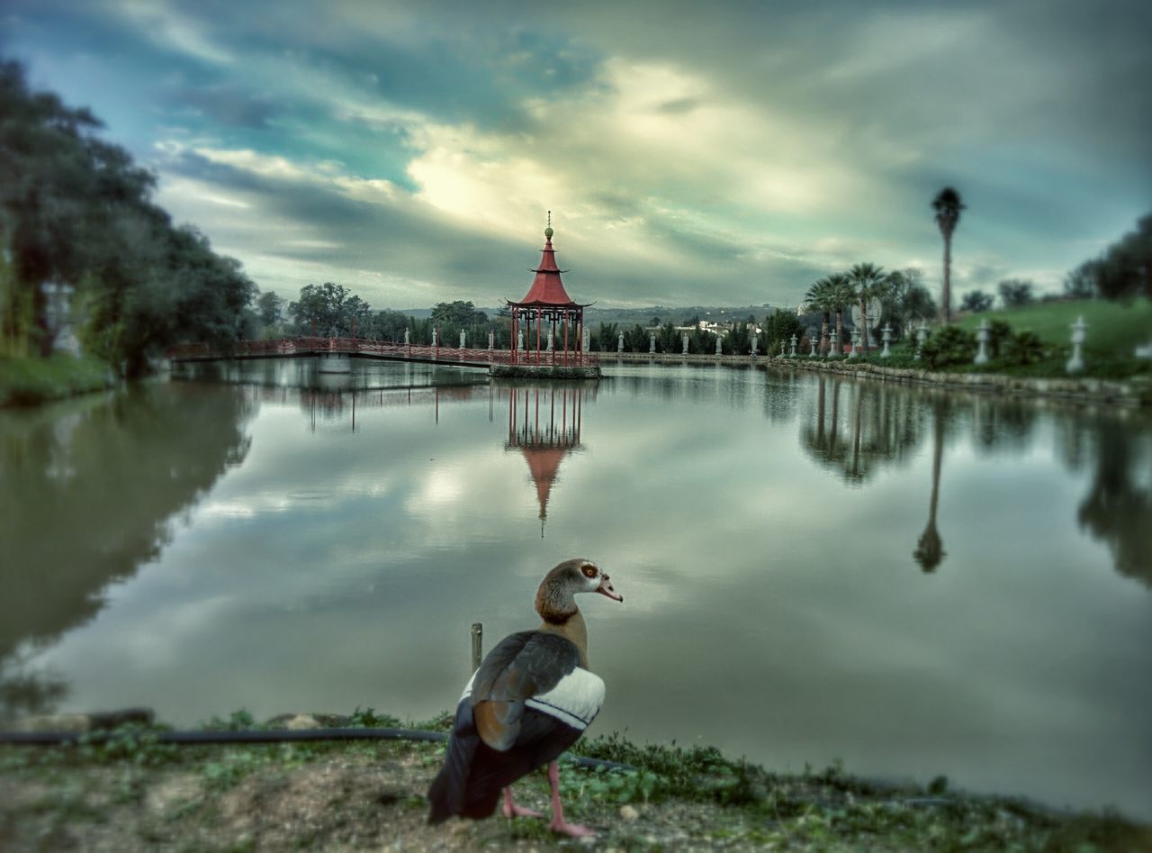 sky, reflection, cloud - sky, water, lifestyles, leisure activity, lake, cloudy, men, rear view, built structure, standing, architecture, tree, childhood, boys, cloud, weather