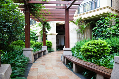 Potted plants outside building