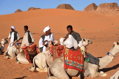 People riding horses in desert