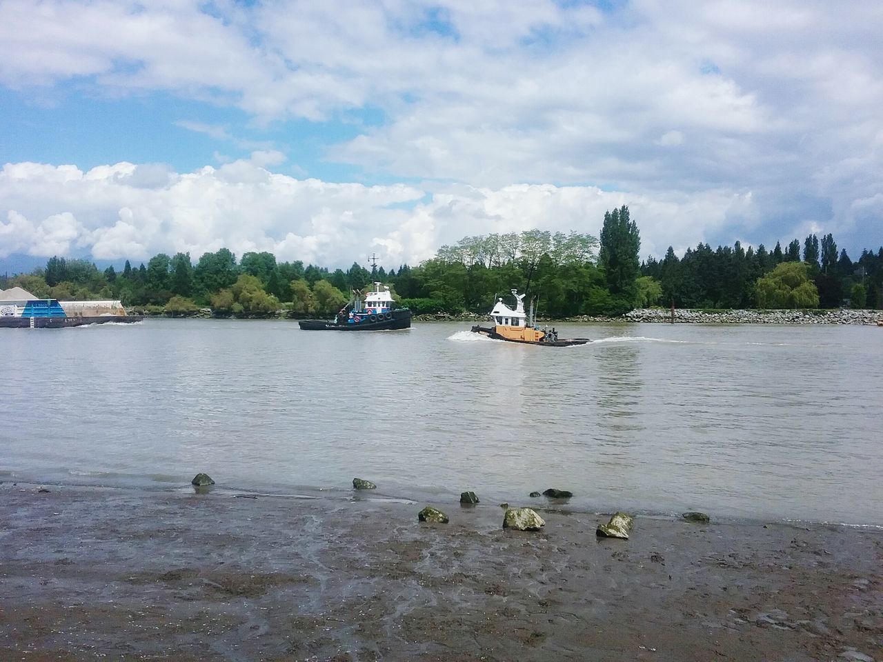 water, cloud - sky, sky, mode of transport, nature, transportation, nautical vessel, scenics, waterfront, beauty in nature, day, outdoors, lake, tree, no people, animal themes, swan