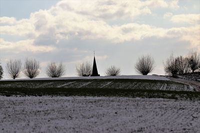 Bare trees on field against sky during winter