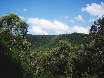 Scenic view of landscape against cloudy sky