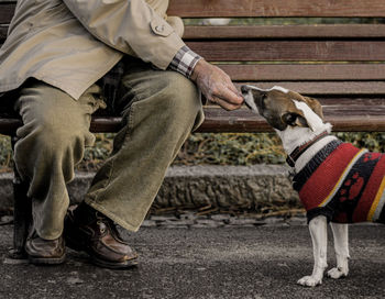 Low section of man with dogs
