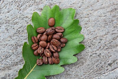 High angle view of green leaves on table