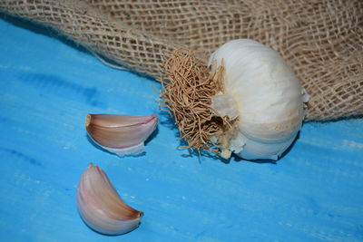 High angle view of shells in container