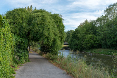 Footpath amidst plants and trees against sky